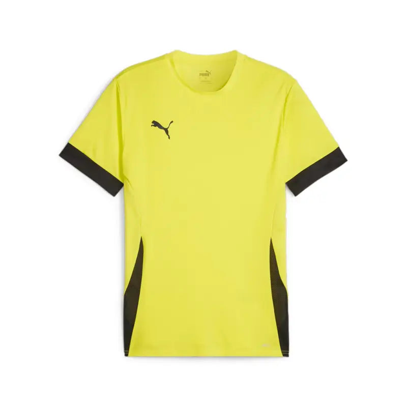 Puma teamGOAL Matchday Trikot Erwachsene